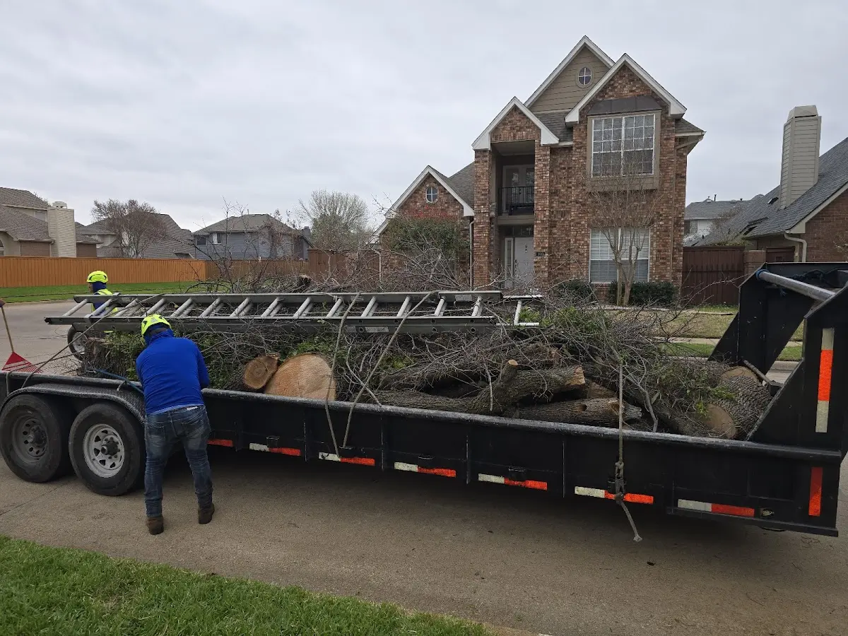 Expert Tree Removal with proper safety equipment in Decatur